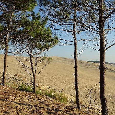 Logement Sympa Entree Independante Pres Bordeaux 10Kms 苔丝 外观 照片