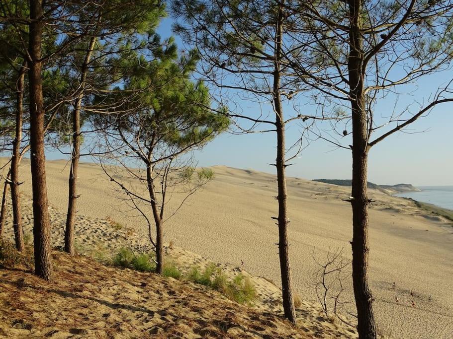 Logement Sympa Entree Independante Pres Bordeaux 10Kms 苔丝 外观 照片