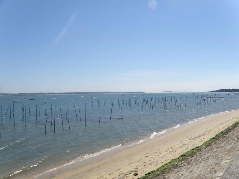 Logement Sympa Entree Independante Pres Bordeaux 10Kms 苔丝 外观 照片